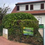 paysagiste-verneuil-sur-seine-78-5 paysagiste verneuil sur seine 78