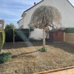 pose gazon poissy 78 pose gazon poissy 78