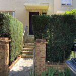paysagiste ecquevilly entretien jardin tonte pelouse nettoyage 1 paysagiste ecquevilly entretien jardin tonte pelouse nettoyage 1
