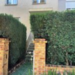 paysagiste ecquevilly entretien jardin tonte pelouse nettoyage 4 paysagiste ecquevilly entretien jardin tonte pelouse nettoyage 4