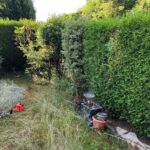 paysagiste ecquevilly entretien jardin tonte pelouse nettoyage 5 paysagiste ecquevilly entretien jardin tonte pelouse nettoyage 5