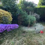 paysagiste ecquevilly entretien jardin tonte pelouse nettoyage 6 paysagiste ecquevilly entretien jardin tonte pelouse nettoyage 6