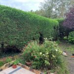 paysagiste triel sur seine creation cloture 78510 4 paysagiste triel sur seine creation cloture 78510 4