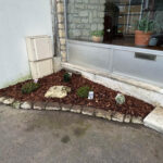 plantation plantes triel sur seine plantation plantes triel sur seine