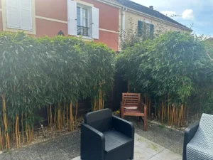 aille bambou triel sur seine 78 aille bambou triel sur seine 78
