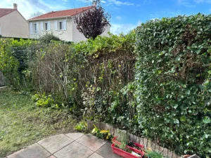 taillage haie triel sur seine 78 taillage haie triel sur seine 78