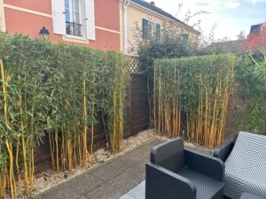 taille bambou triel sur seine taille bambou triel sur seine