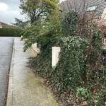 taille haie triel sur seine 78 taille haie triel sur seine 78
