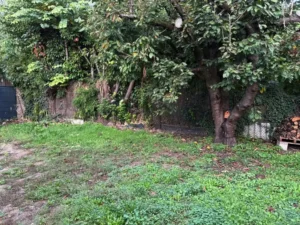 paysagiste andresy 78570 1 paysagiste andresy 78570 1